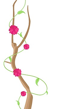 红色的花装饰框