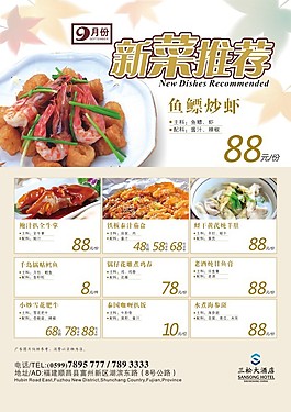 新菜推荐
