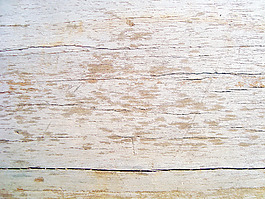 wood_surface_texture