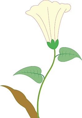 花的美工设计