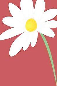 romashka菊花7