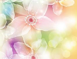 梦幻花亮背景矢量01