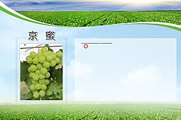 京密种植牌子