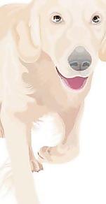 於1