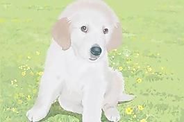 於3