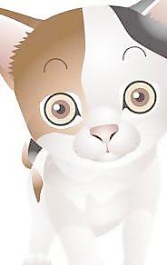 猫67向量