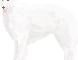 漂亮的狗矢量5