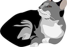 加托猫剪贴画