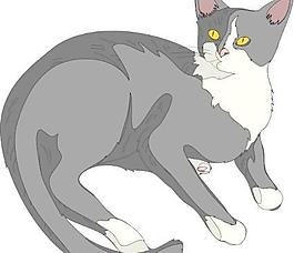 加托猫剪贴画