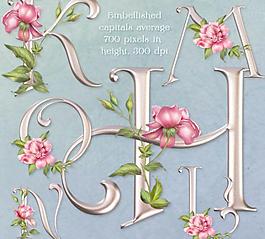 旧货金属玫瑰PSD文字