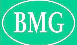 BMG的标志