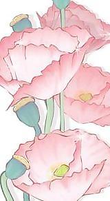 Mak花5
