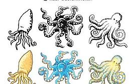 章鱼设计载体-免费