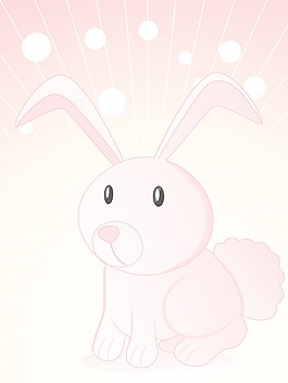 可爱的小兔子的背景