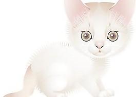 猫71向量