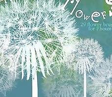 蒲公英笔刷 下载