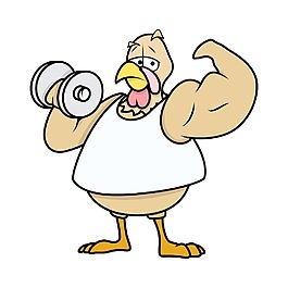 肌肉的土耳其鸟