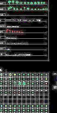 CAD常用植物平立面图例图块