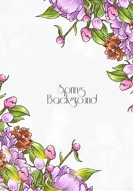 花卉背景图片 花卉背景素材 花卉背景模板免费下载 六图网