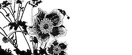 花无载体