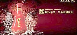 口子窖礼品酒广告 下载
