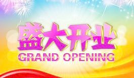 盛大开业吊旗 下载