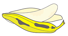 香蕉隔离