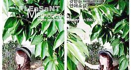 去年花开时写真1 下载
