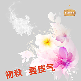 初秋耍脾气的鞋子主页设计