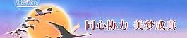 平面广告 下载