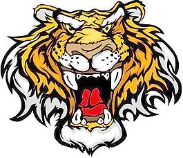 老虎照片矢量素材17