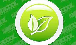 对晶体的单选按钮的树叶矢量素材