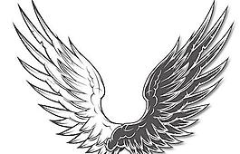 wings动画黑白翅膀图片图片