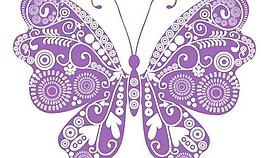 精美的蝴蝶矢量素材