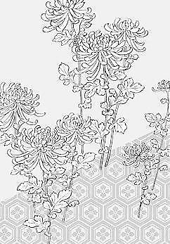 日本的植物花卉矢量素材39菊壳背景图