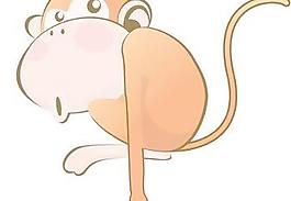 猴23