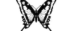 黑白蝴蝶免费矢量