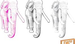 大象的插图