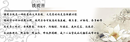 铁观音介绍图片