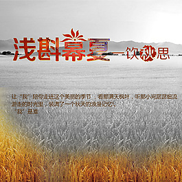 草原设计素材海报