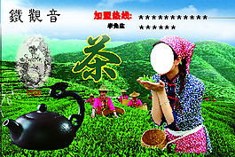 铁观音海报