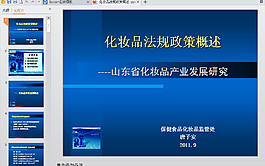法规政策PPT