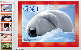 课程培训PPT