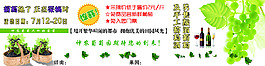 葡萄园报眉