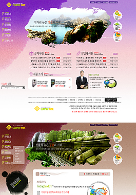 韩国旅游风景类网站模板