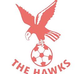 whitehawk FC