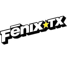 菲尼克斯TX