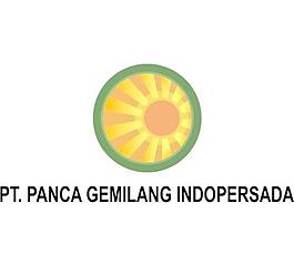 铂。公司indopersada PANCA