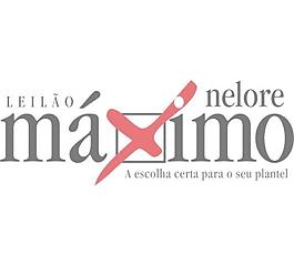 Nelore Má西摩