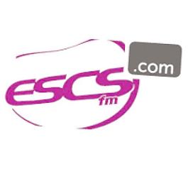 ESCs调频